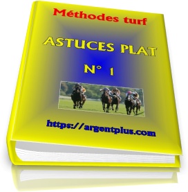 Astuces Plat n° 1